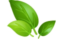 Banner 01.jpg